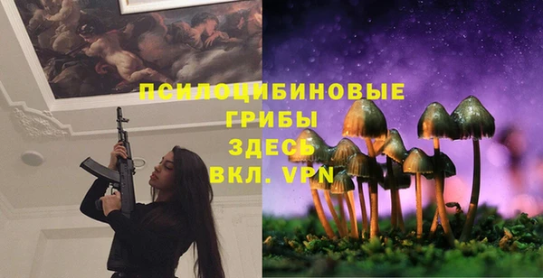 тгк Абаза